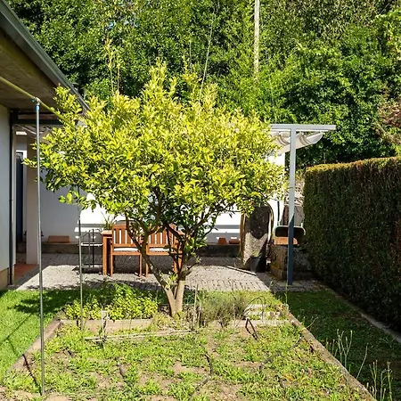 271 Villa Caminha